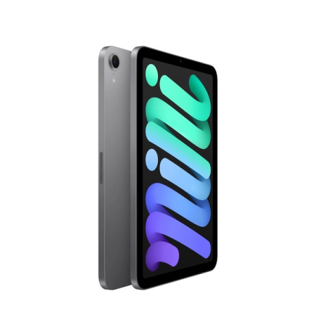 Apple iPad mini 7 - 128GB Wi-Fi (gwiezdna szarość) 