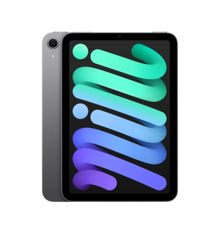 Apple iPad mini 7 - 128GB Wi-Fi (gwiezdna szarość) 