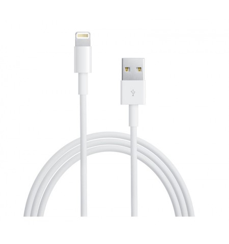 Apple Kabel Lightning to USB-A (1m) 