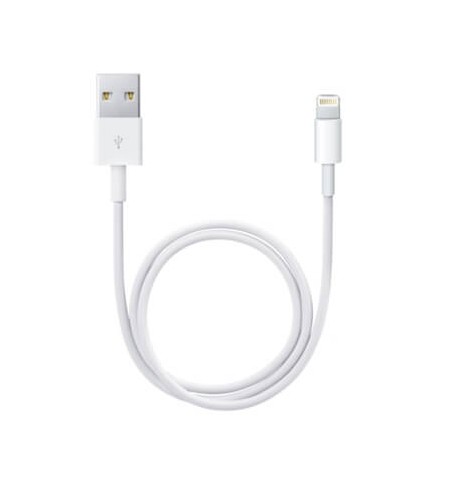 Apple Kabel Lightning to USB-A (0.5m) 