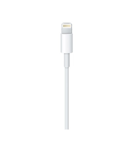Apple Kabel Lightning to USB-A (0.5m) 