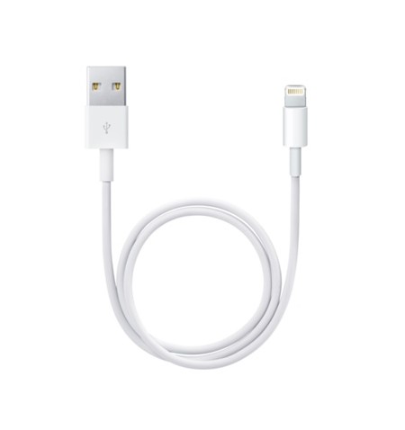 Apple Kabel Lightning to USB-A (0.5m) 